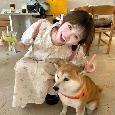 彩凤春情